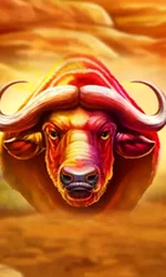 Buffalo Hold and Win Extreme